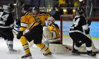 Sharks Falter To Tycoons, While Warriors Score Important Win Over Aces