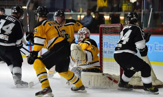 Sharks Falter To Tycoons, While Warriors Score Important Win Over Aces