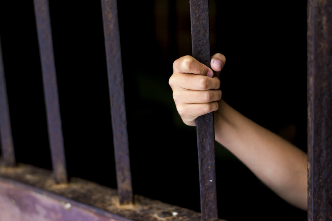 (Mike Mols/iStock)