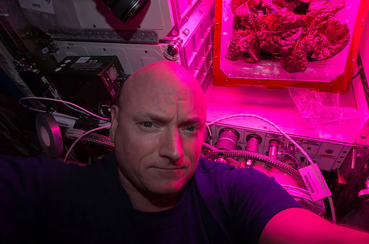 NASA astronaut Scott Kelly took this selfie with the second crop of red romaine lettuce in August of 2015.
Credits: NASA