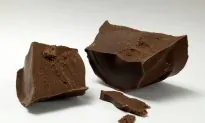 Why You Should Not Feed Chocolate to Dogs
