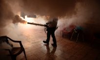 WHO: Zika Virus Is Spreading ‘Explosively,’ Could Soon Reach 4 Million Cases