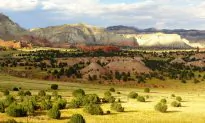 Federal Control of Western Land: Two Perspectives