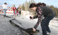 UPDATE: Magnitude-7.1 Quake Jolts Alaska; 4 Homes Lost