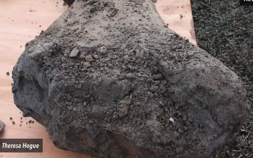 Mammoth Remains Uncovered During Football Field Renovation (Video)