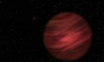 Astronomers Discover Massive Solar System, Where a Single Orbit Can Take 900,000 Years