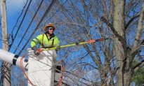 After Sandy Upgrades, Power Stays on During Blizzard