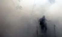 WHO Declares Global Emergency Over Zika Virus Spread