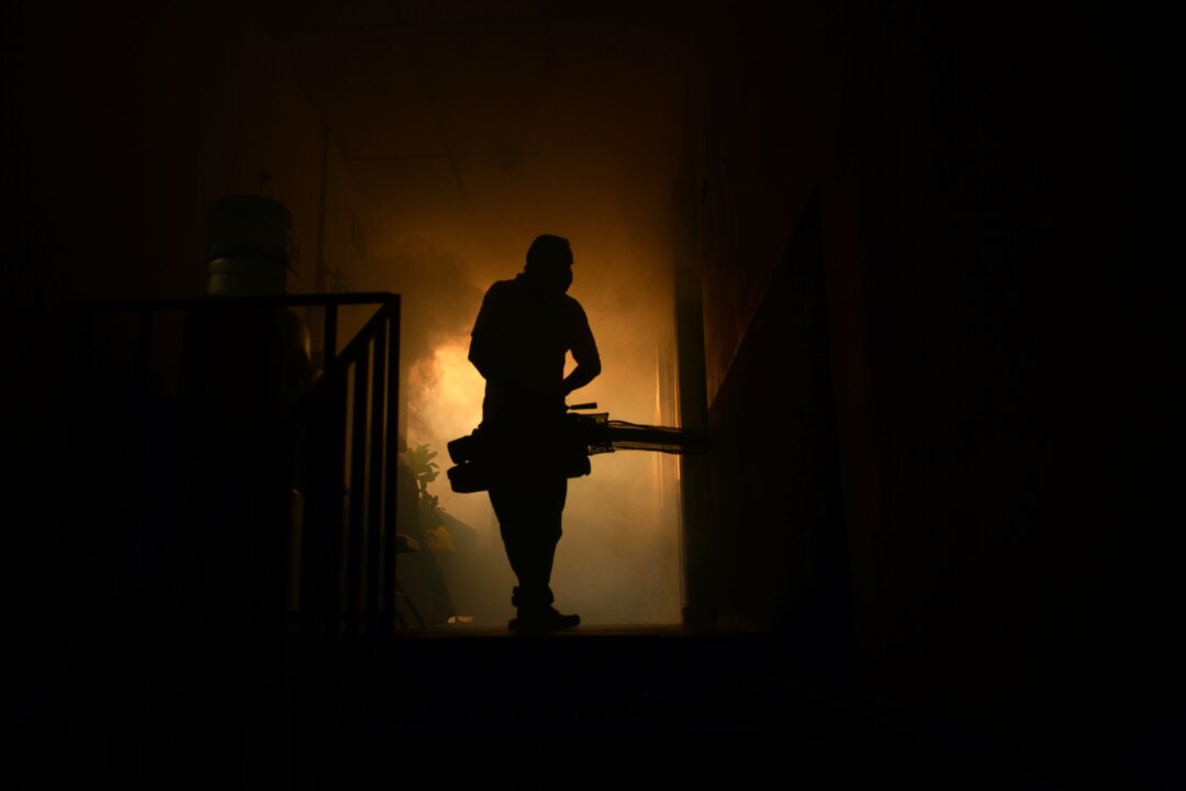 A Health Ministry employee fumigates a home against the Aedes aegypti mosquito to prevent the spread of the Zika virus, in Soyapango, 6 kilometers east of San Salvador, on Jan. 27, 2016. Health authorities have issued a national alert against the Aedes aegypti mosquito, vector of the Zika virus which might cause microcephaly and Guillain-Barré syndrome. (Marvin Recinos/AFP/Getty Images)