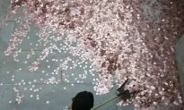 China Capital Outflows Are Back, Some Funnier Than Others