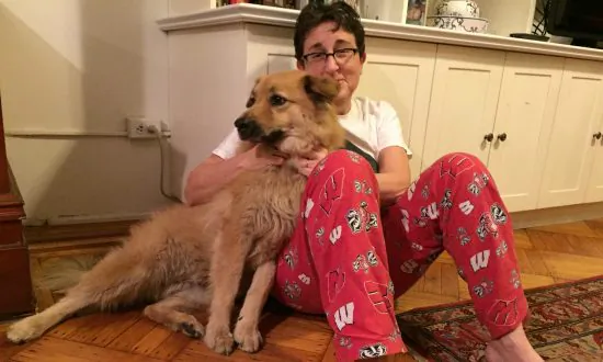 Climate Change and Pets: More Fleas, More Heartworm