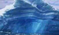 Greenland’s Ice Sheet Releases 400,000 Metric Tons of Phosphorus Yearly, Study Says