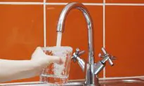 The Two Best Herbs for Lead Poisoning