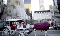 Things to Do Around NYC: October 14–20