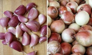 Onions and Garlic Are Anti-Cancer Foods