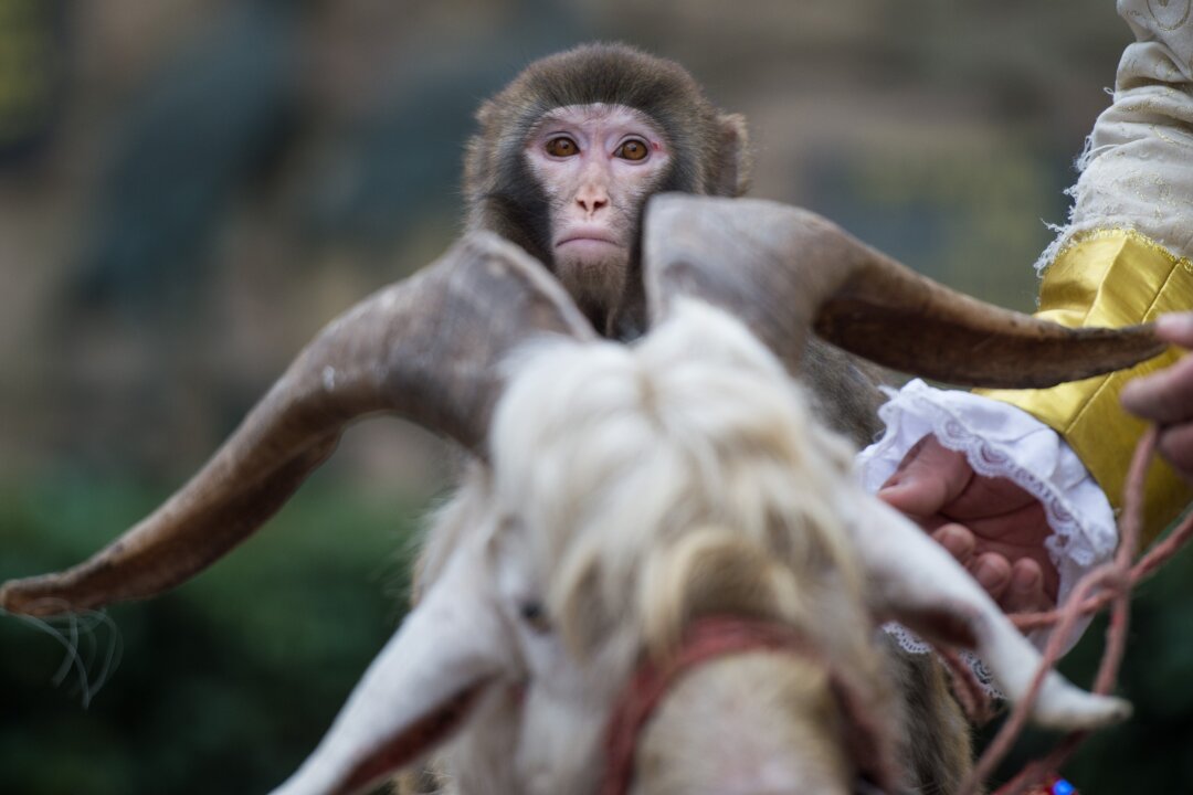 (Johannes Eisele/AFP/Getty Images)