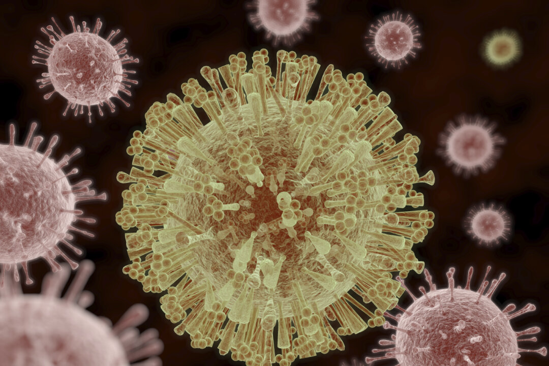 An illustration of the Zika Virus, which symptoms include mild headaches, maculopapular rash, fever, malaise, conjunctivitis, and arthralgia. (Aunt_Spray/iStock)