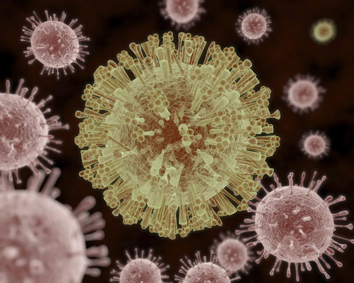 An illustration of the Zika Virus, which symptoms include mild headaches, maculopapular rash, fever, malaise, conjunctivitis, and arthralgia. (Aunt_Spray/iStock)