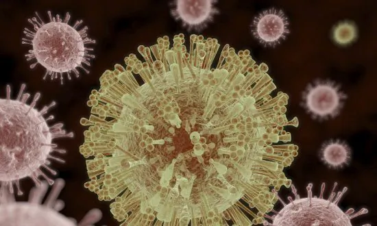 CDC: 14 More US Reports of Possible Zika Spread Through Sex