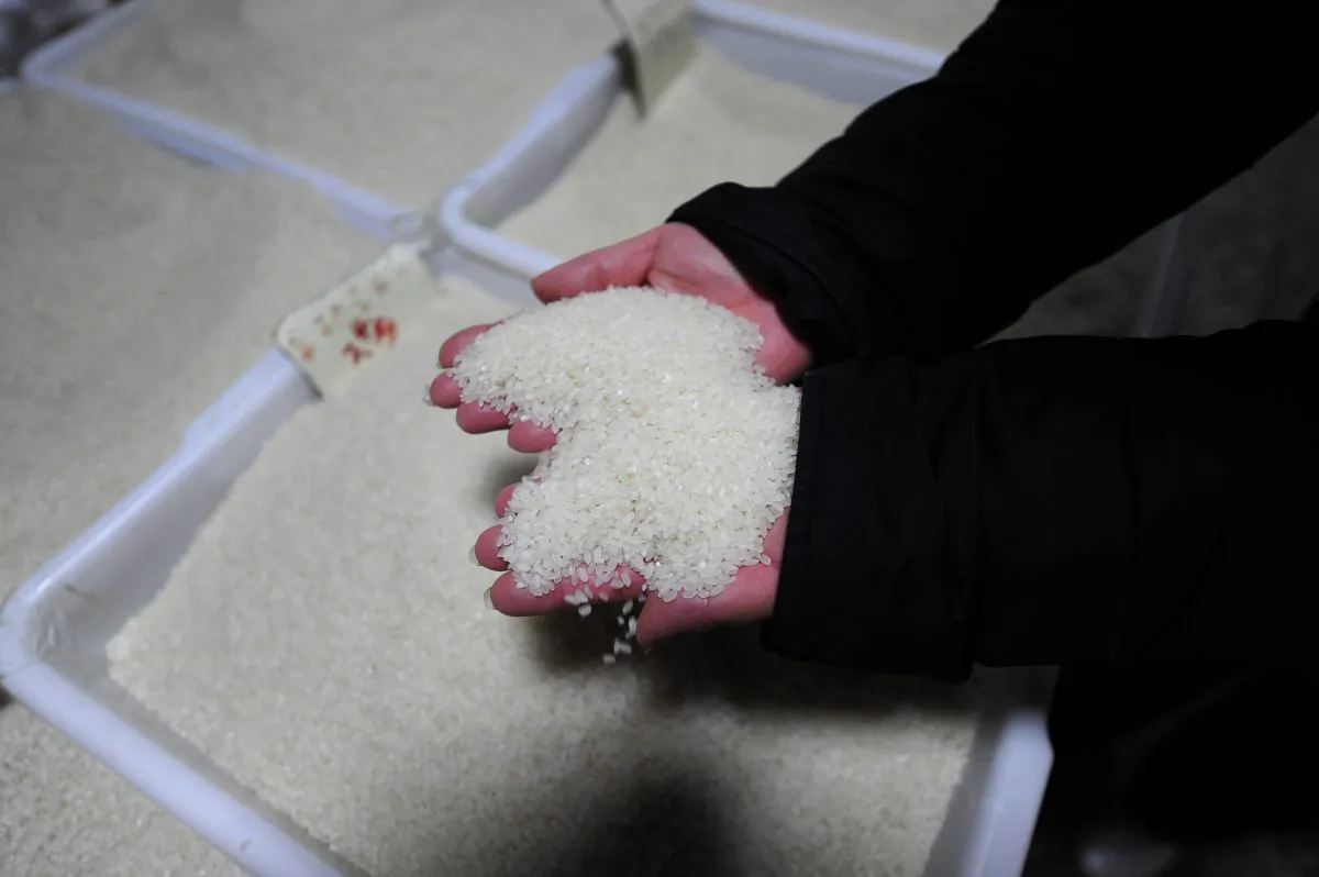 A vendor picks up rice at her stall in a market in Beijing on Dec. 2, 2009.  (Peter Parks/Getty Images)