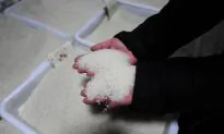 2.5 Tons of Plastic Chinese ‘Rice’ Seized in Nigeria