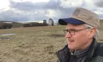 Farmer Reveals the Surprising Potential of Pulses: Healthy, Low-Cost Protein for All