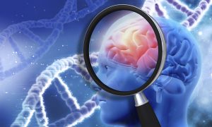 How Powerful Is the Human Brain Compared to a Computer?