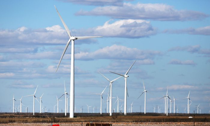 Wind turbines are viewed at a wind farm in Colorado City, Texas, on Jan. 21, 2016. Wind power accounted for 8.3% of the electricity generated in Texas during 2013. (Spencer Platt/Getty Images)