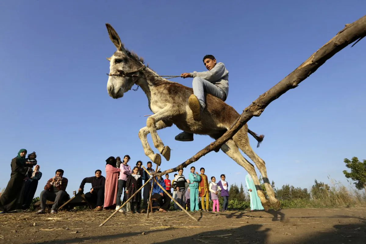 (AP Photo/Amr Nabil)