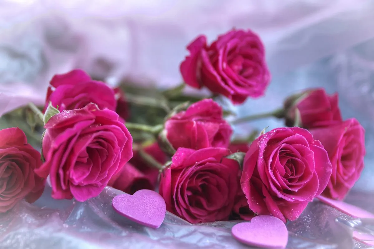 The heart symbolizes Valentine's Day. Traditional gestures are gifts of roses and a card expressing sentiments of love or friendship. (Cat Rooney/Epoch Times)