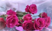 Shen Yun Is a Special Gift for Valentine’s Day