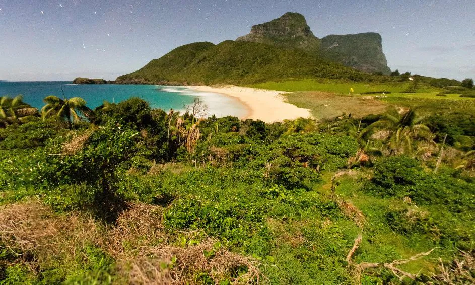 Scientists Successfully Breed First Tree Lobster at San Diego Zoo