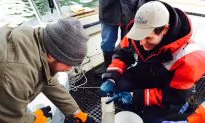NYC Waters Are Teeming With Plastic Particles, Study Finds