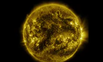 Watch: One Year Time-lapse of Sun Showing its Corona Plasma