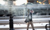 Yes, Cold Weather Can Make You Sick – Scientists Finally Confirm What We All Knew