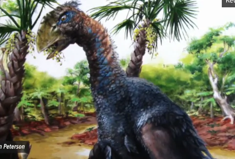Giant Bird Confirmed to Have Roamed The Arctic 50 Million Years Ago (Video)
