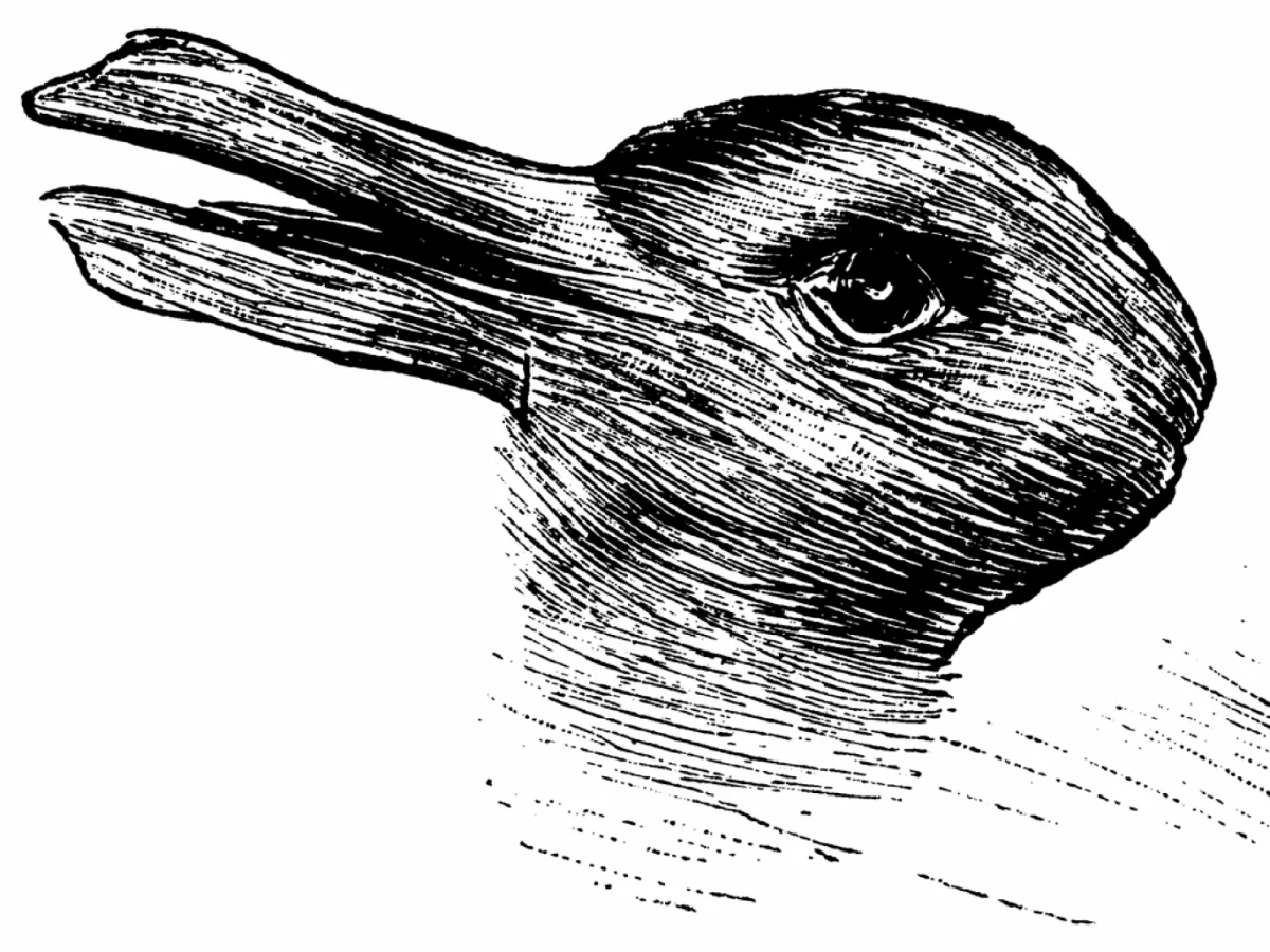 (Wikimedia commons)