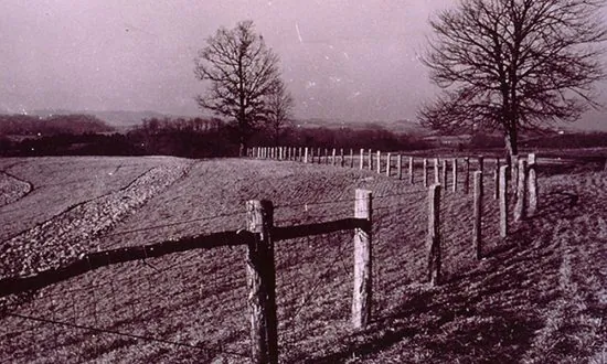If You’re Hiking Around And See a Purple Fence or Trees, Pay Heed