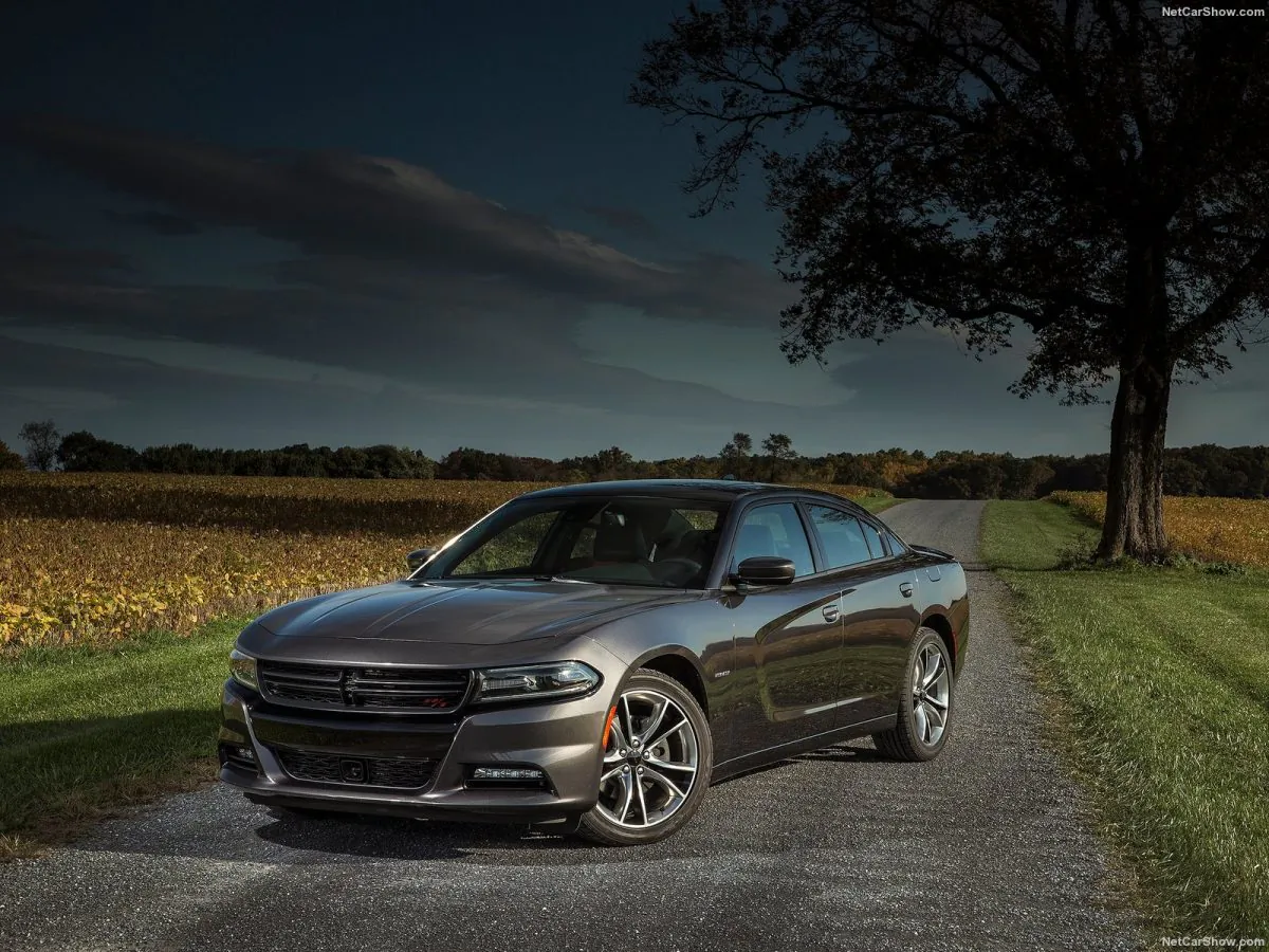 Dodge Charger Rallye Edition. (Courtesy of NetCarShow.com)