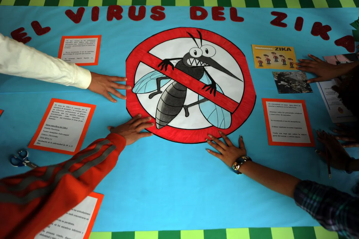 Pedagogy students of the National Autonomous University of Honduras (UNAH) make posters as they start a campaign to prevent Zika virus in Tegucigalpa on February 12, 2016. (ORLANDO SIERRA/AFP/Getty Images)