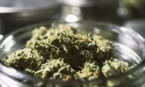 The Rise of Big Pot