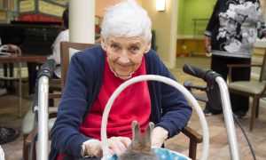 Rescued Rabbits Become Therapy Bunnies