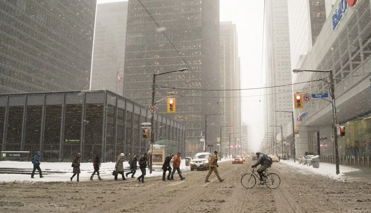 Commuters cross Bay Street in Toronto's financial district. The Canadian banks are surviving financial market turmoil better than their international counterparts once again. (The Canadian Press/Graeme Roy)