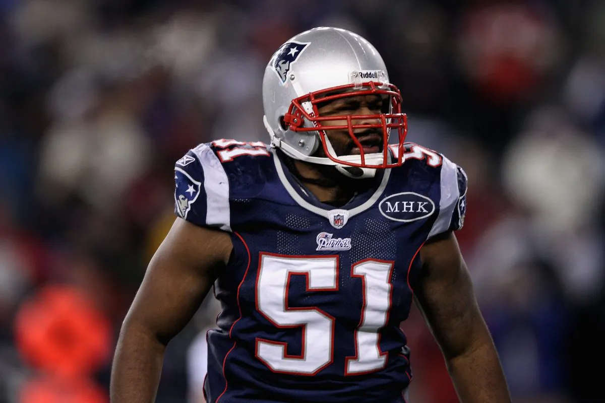Jerod Mayo was a two-time Pro Bowl linebacker for the New England Patriots. (Elsa/Getty Images)