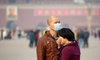 Rats Gain Weight After Breathing Beijing’s Air for 3 Weeks