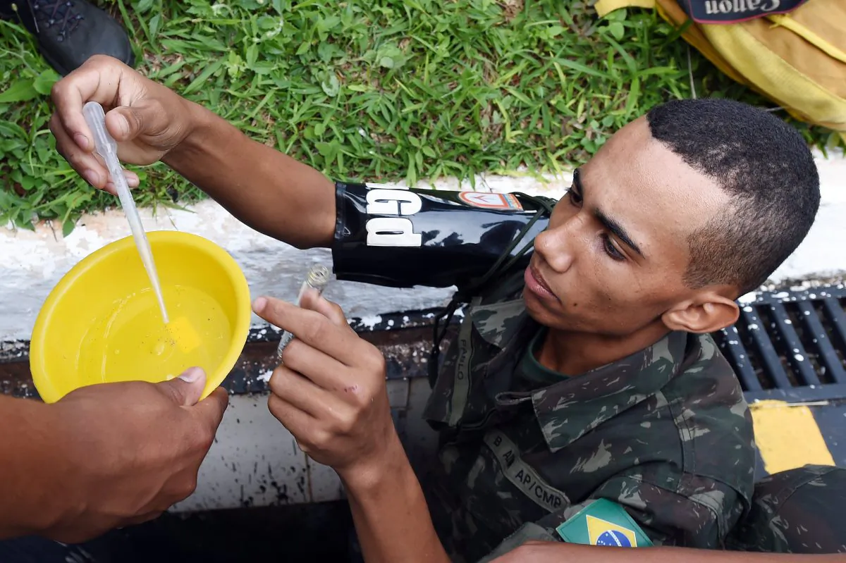 A member of the Brazilian armed forces looks for larvae of the Aedes mosquito, which transmits the Zika virus, at a school in Brazil, on Feb. 19, 2016. (Evaristo Sa/AFP/Getty Images)