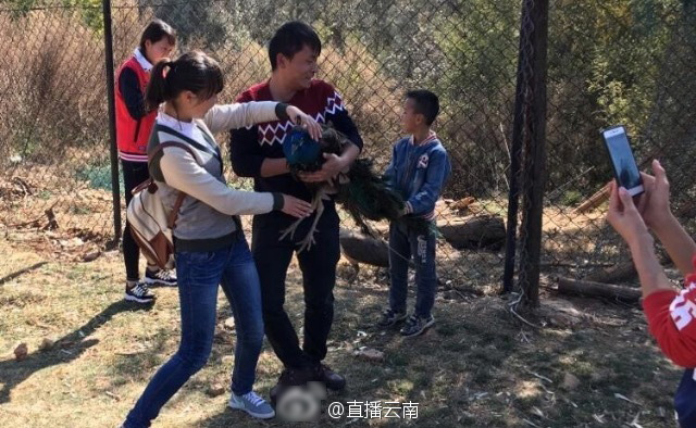 (Weibo)
