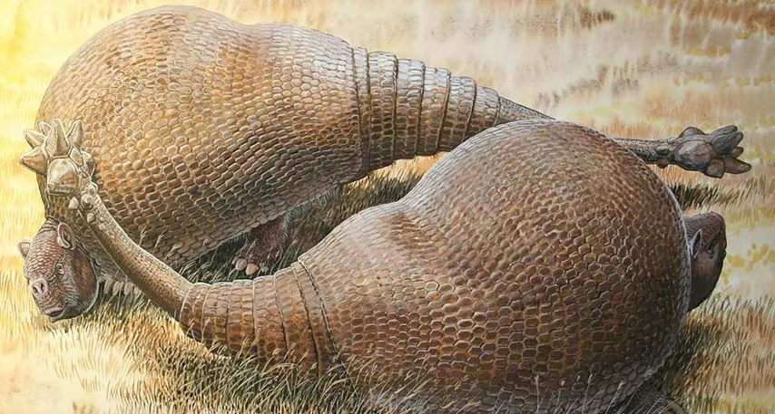 An illustration of ancient Glyptodonts. (Peter Schouten)