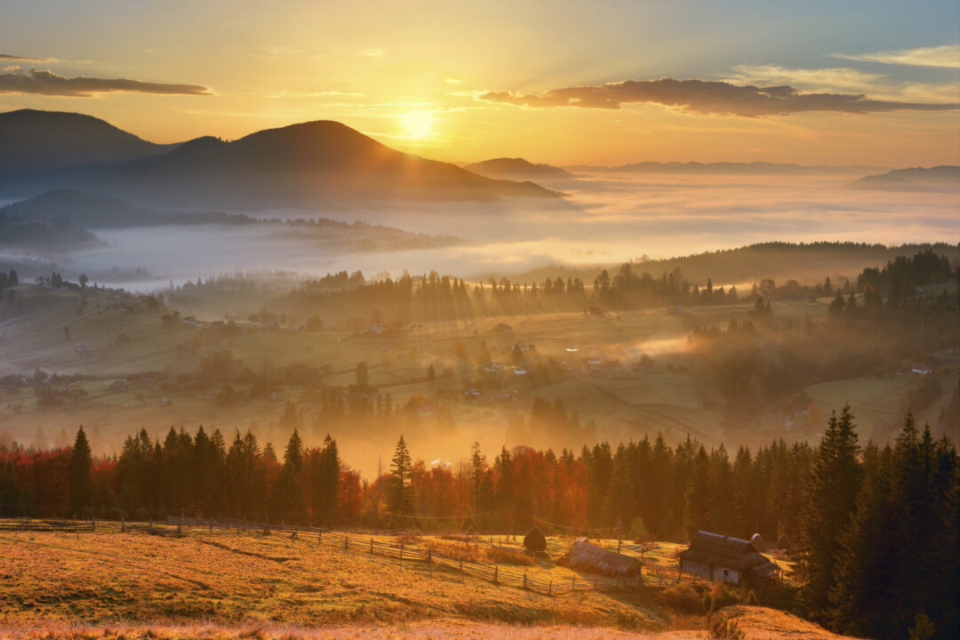 (PyvovarPavlo/iStock)