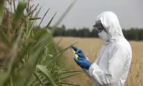 FDA to Monitor Glyphosate Levels in Food Supply